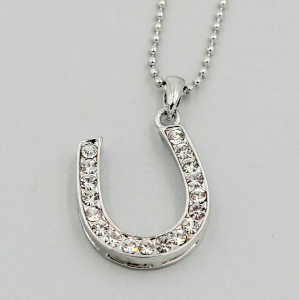 HORSESHOE CZ SILVER NECKLACE